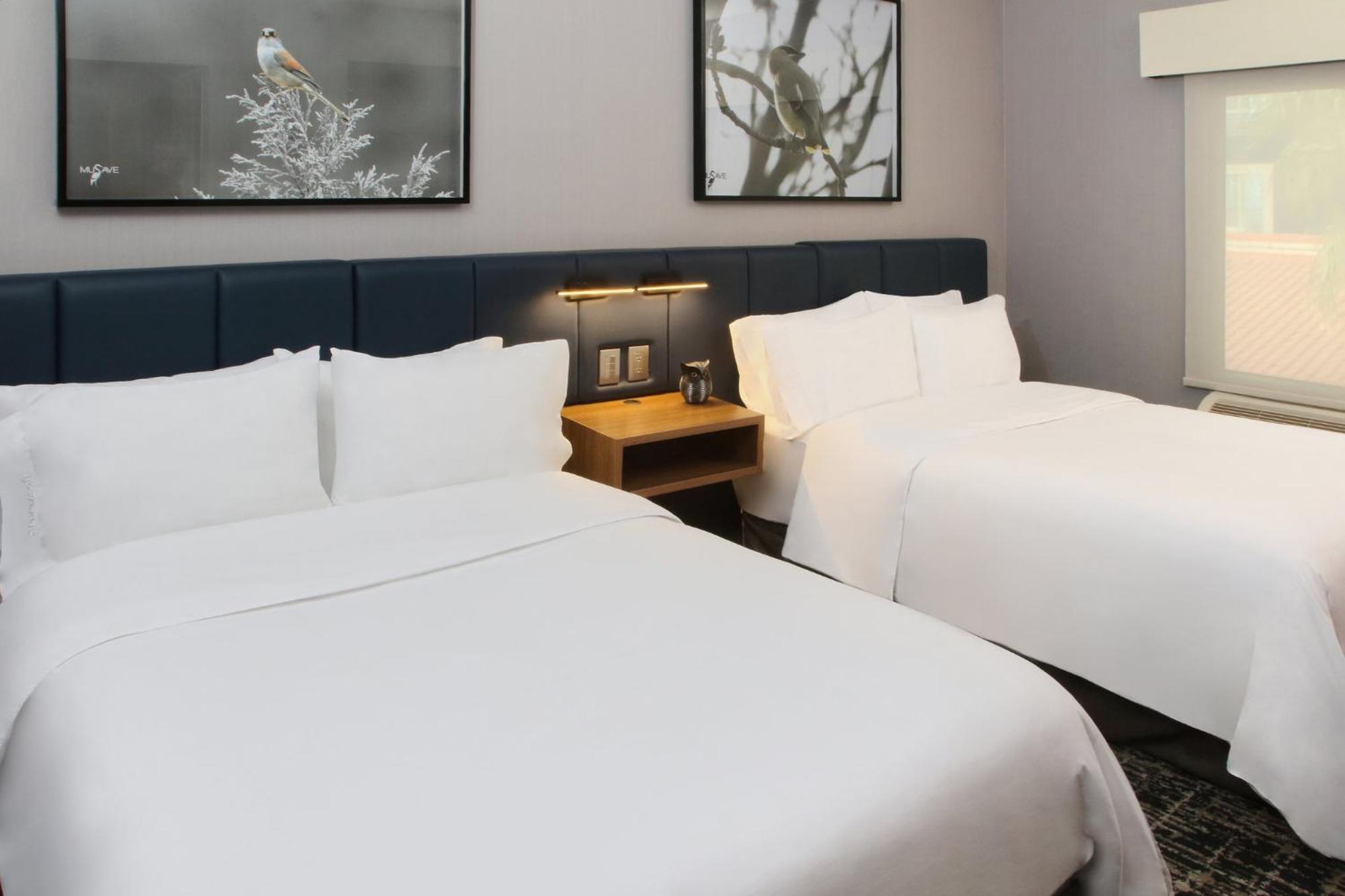 Voco Saltillo Suites By Ihg 외부 사진