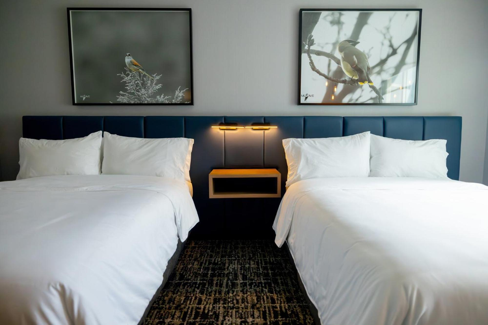 Voco Saltillo Suites By Ihg 외부 사진